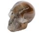 Crâne en Agate avec Cristal de roche (Moyen)
