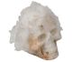 Bergkristal schedel MASTERPIECE (no. 3 van slechts 9 wereldwijd)