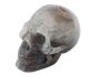 Crâne en Agate et Cristal de roche de Botswana