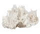 Scolecite from Maharashtra in India (groups between 0.1-2 kilos)