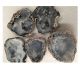 Tranca geodes closed to crack yourselve from Chihuahua in Mexico.