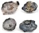 Tranca geodes closed -to crack- from Mexico