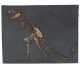 Fossiele replica-plaat oa Tyrannosaurus en andere afbeeldingen