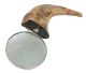 Loupe (Magnifier) made from Ram horn.