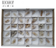 Sales box with 35 natural Cactus Quartz (Witch Finger) points from Boekenhou in South Africa.