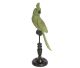Papegaai in hele mooie olijfgroene kleur parmantig gezeten op zijn stok.