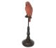 Parakeet in fantastic natural color orange seated on its stick.