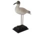Stately seagull seated on a pedestal, very natural reproduction for decoration.