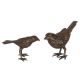 Bronze oiseaux 