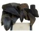 Otodus megalodon fragmenten uit de South Carolina River in Florida USA