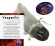 Yooperlite (c) cut stone XXL with pouch and UV lamp.
