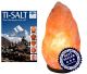 Tisalt lampe de sel brut 6/10 kilo (Venez choissir est €2,- moins cher par lampe)