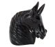 Black Obsidian Unicorn / Unicorn 2021 de Nuevo Leon / Mexique