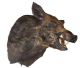 Boar head (B30 x H37 x D60 cm) from Canada