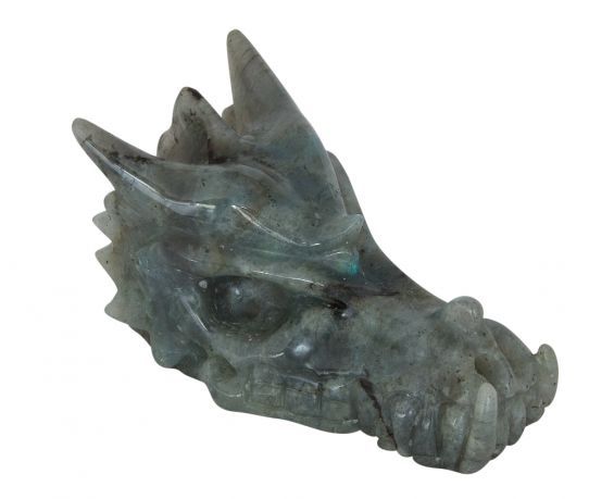 Labrador skull shop