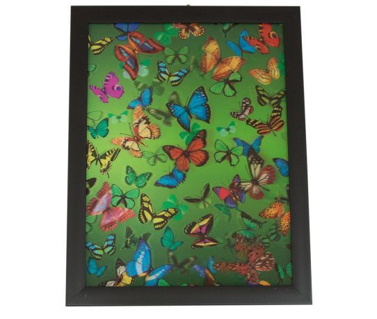 Onnauwkeurig Vet Gedateerd 3D (Driedimensionaal) schilderij met veel diepte met vlinders.