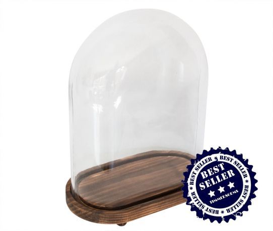 risico Veronderstellen terug Stolp glas ovaal MIDDELGROOT op houten voet