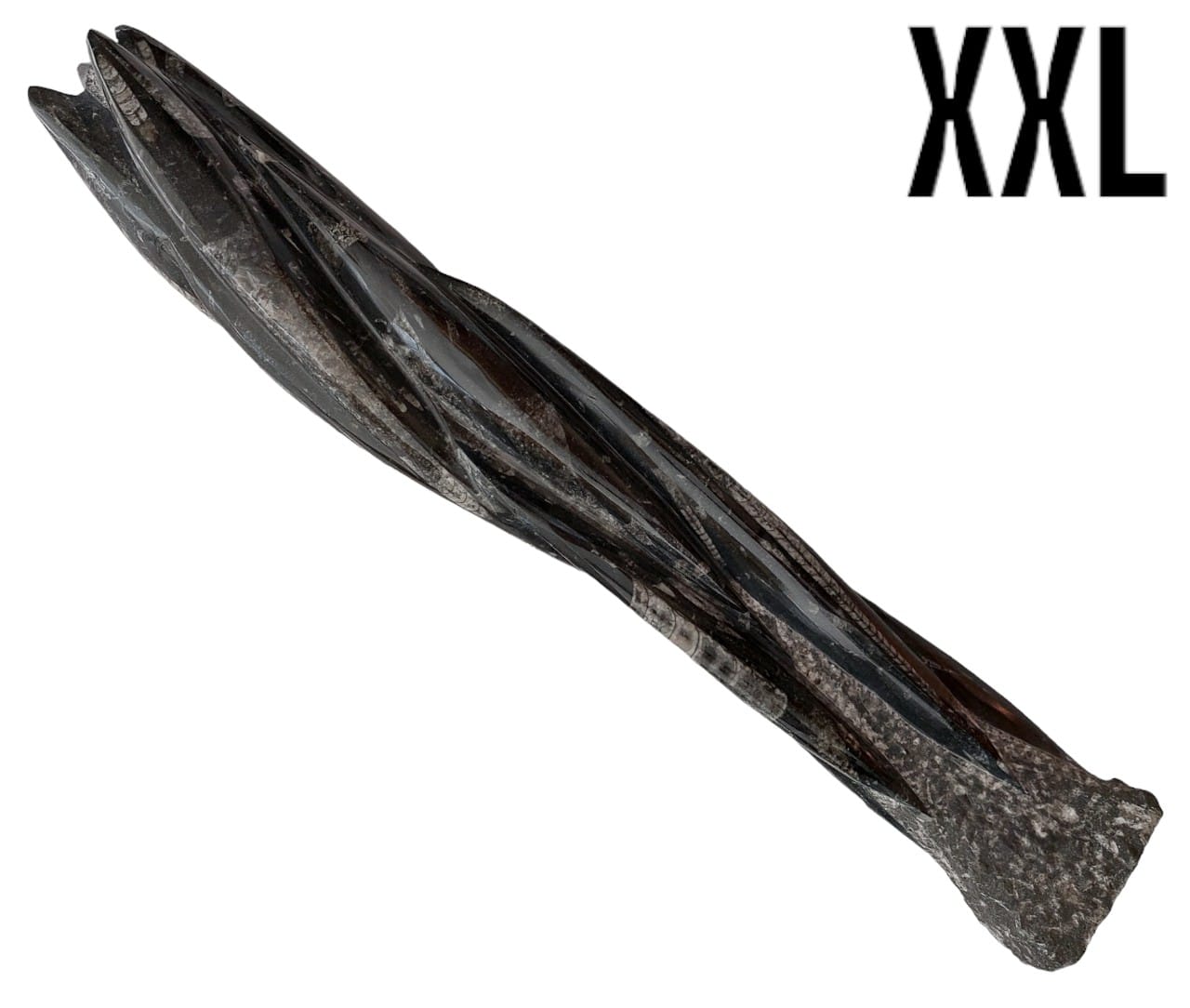 051b.jpg