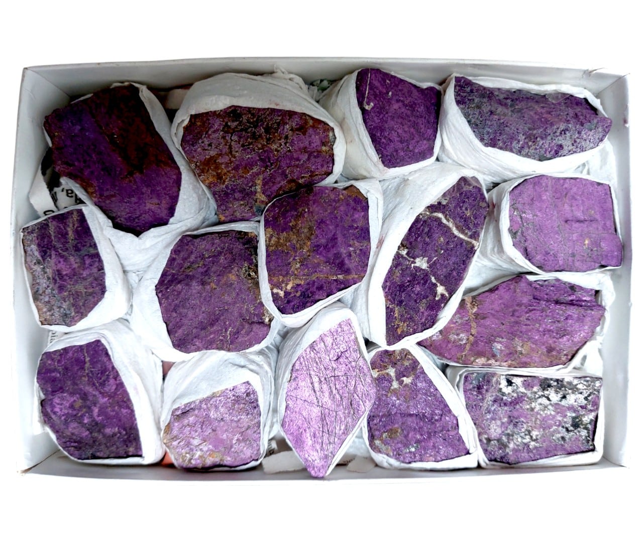 12_stuks_purpuriet_28x12cm.jpg