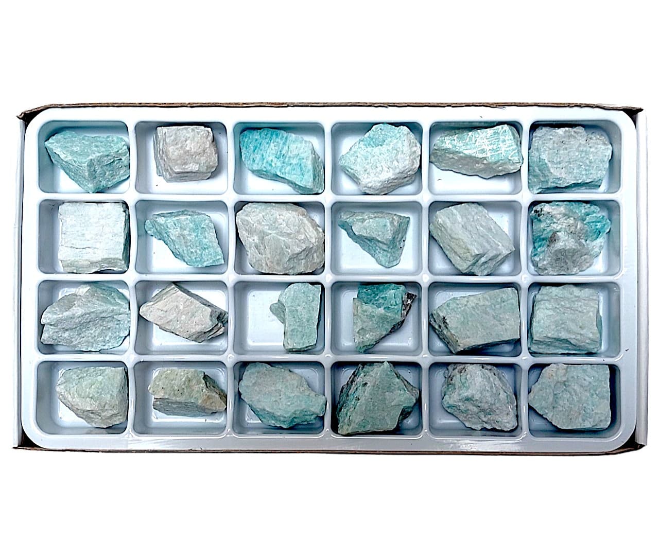 amazoniet_24_stuks_28x15cm.jpg