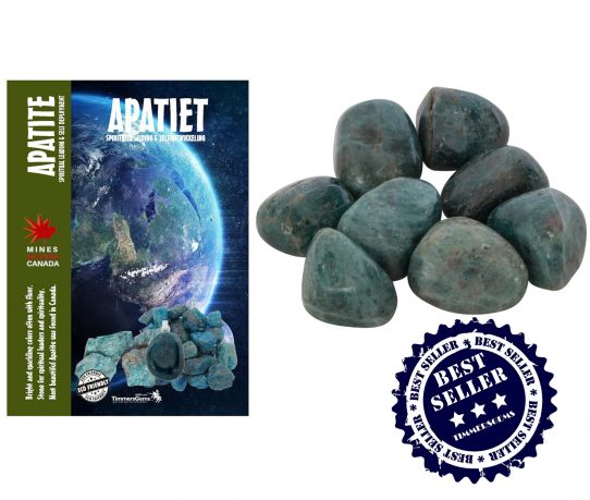 apatiet5web_2.jpg
