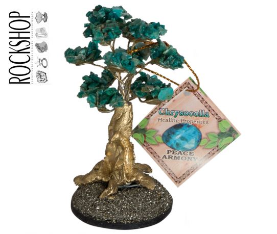 boompjerockshop2_product.jpg