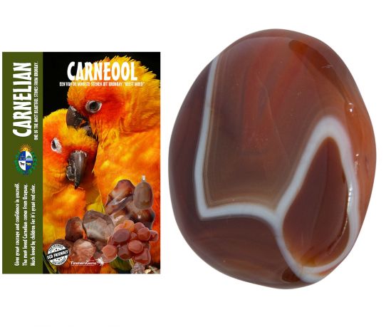 carneool-16_product.jpg