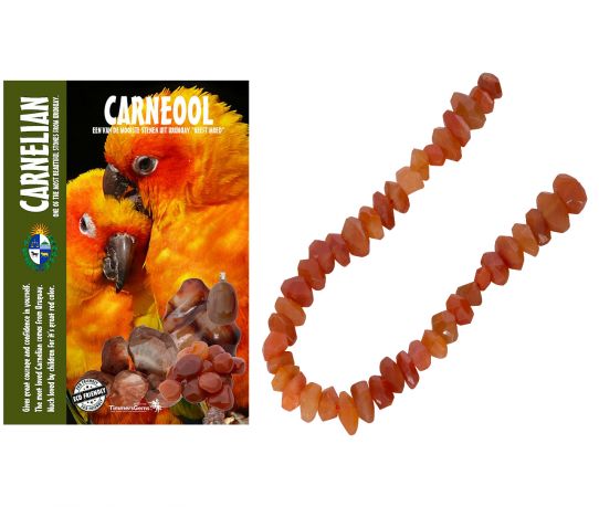 carneool-6_product.jpg