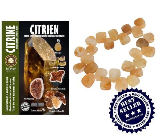 citrien06web_2_2.jpg