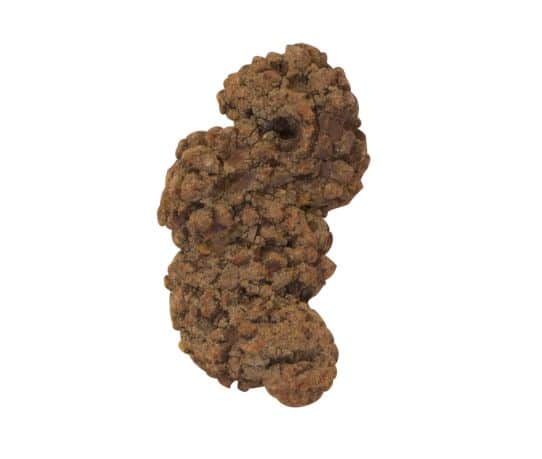 coporoliet-fossiele-uitwerpsel_product.jpg