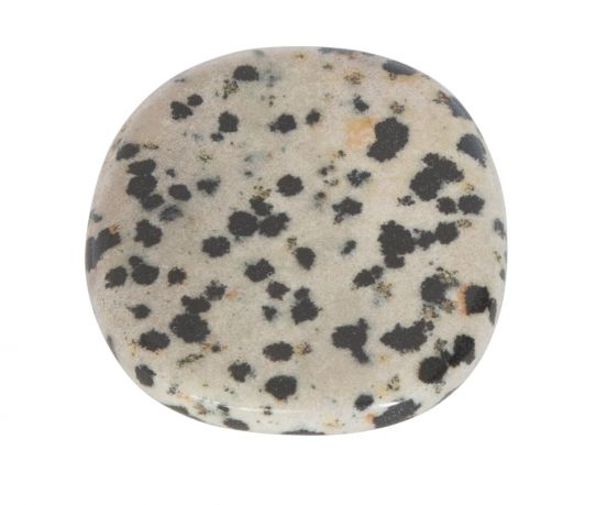 dalmatier-jaspis-1-van-1_2.jpg