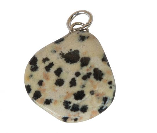 dalmatier-jaspis-mexico_2.jpg