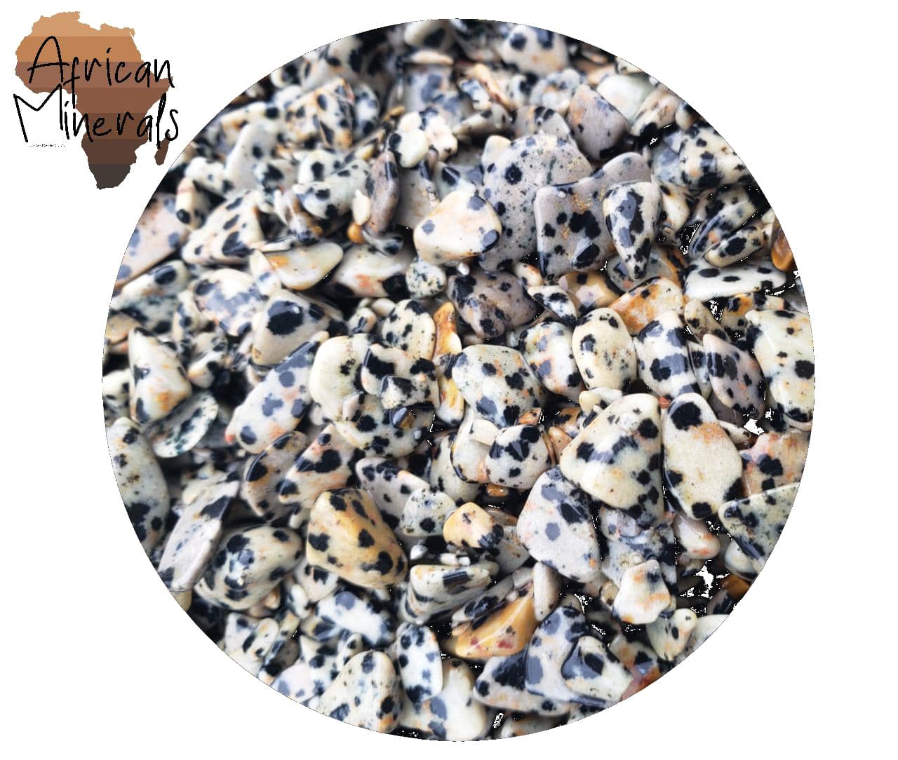 dalmatierjaspist_met_africa_logo_web_edited.jpg