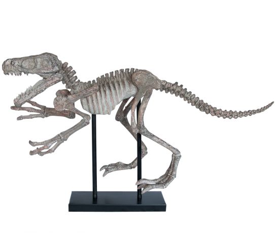 dino-h45x79x23cm_1.jpg