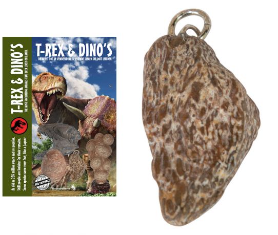dinos5_product.jpg