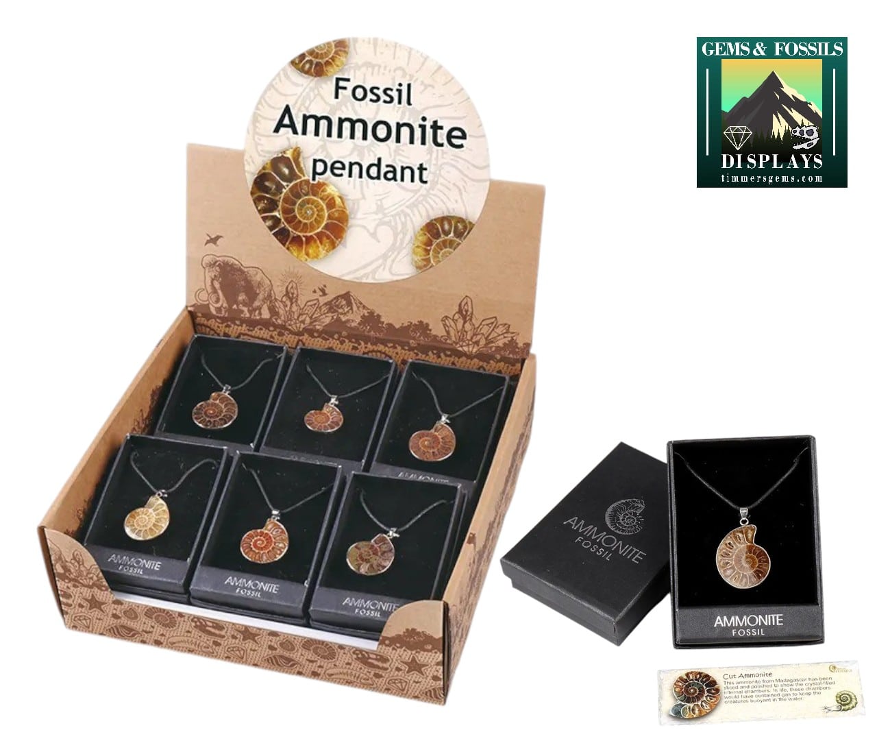 display_ammoniet_pk662-photoroom.jpg