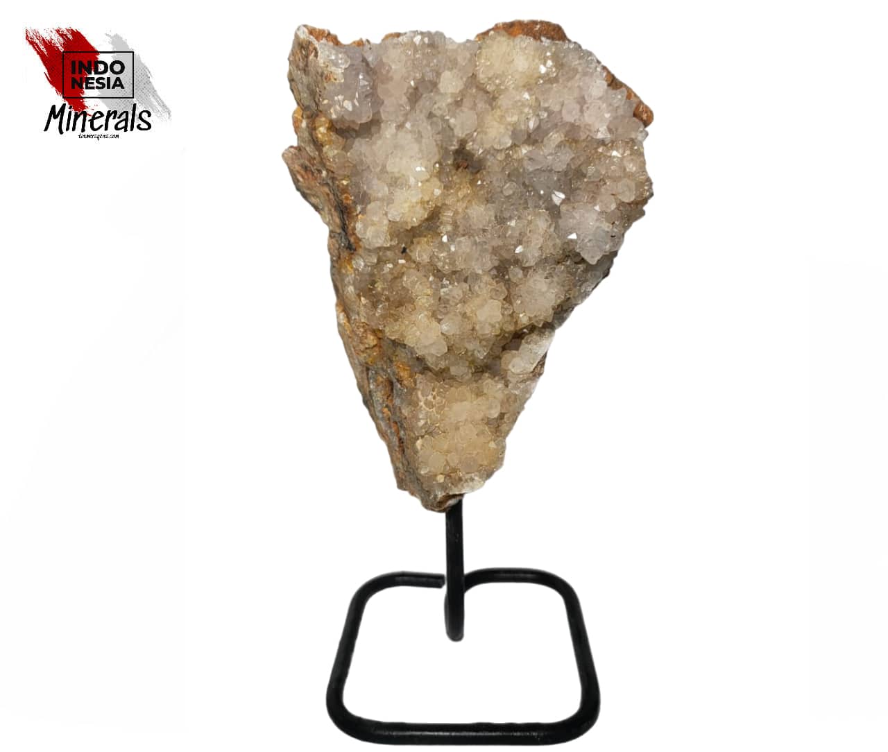 logo_web_de_calcite_drusy_dents_de_chien.jpg