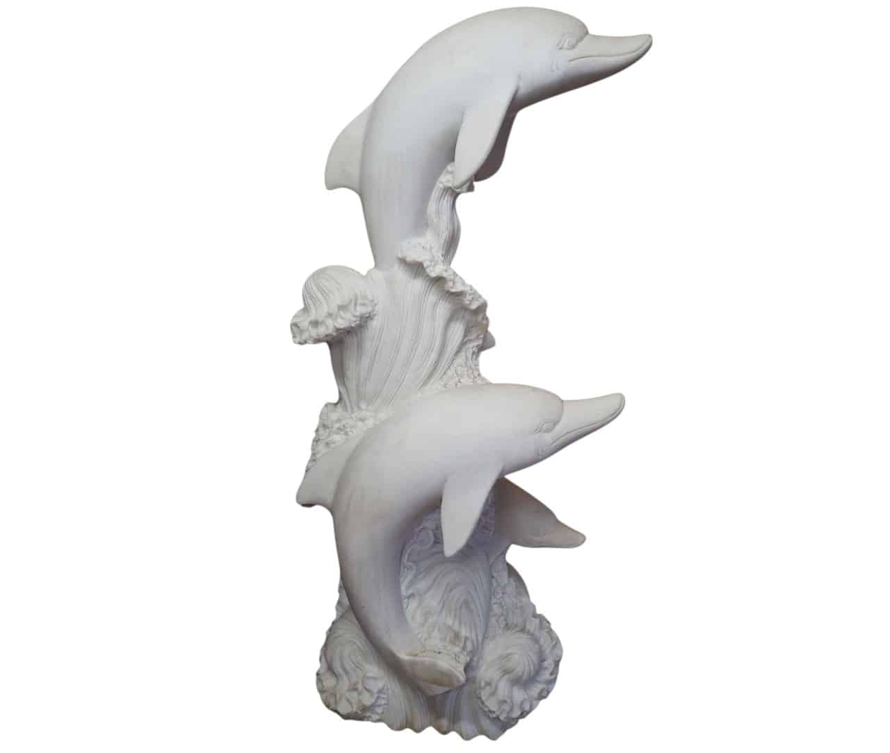 dolphins_image_white.jpg