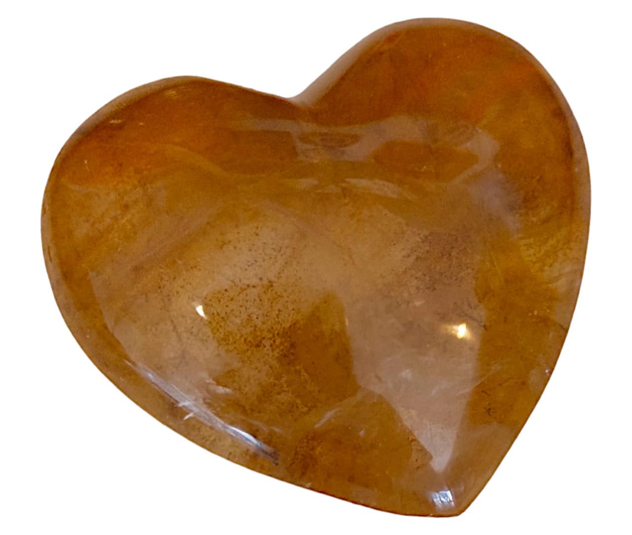 foto_6_1_2.jpg