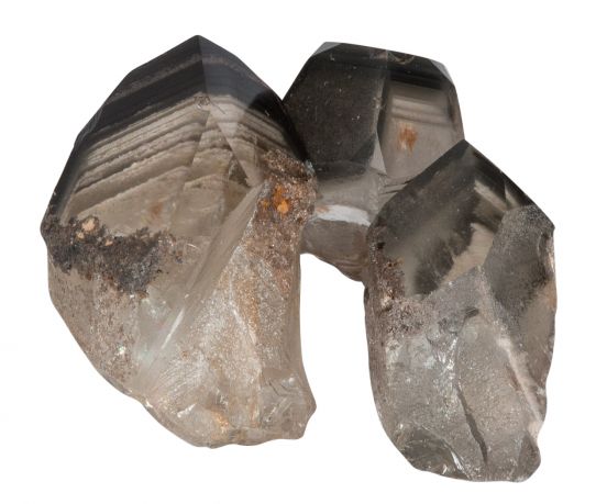 golden-lemurian_2.jpg