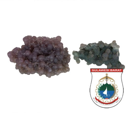 grapeagaat4_2.jpg