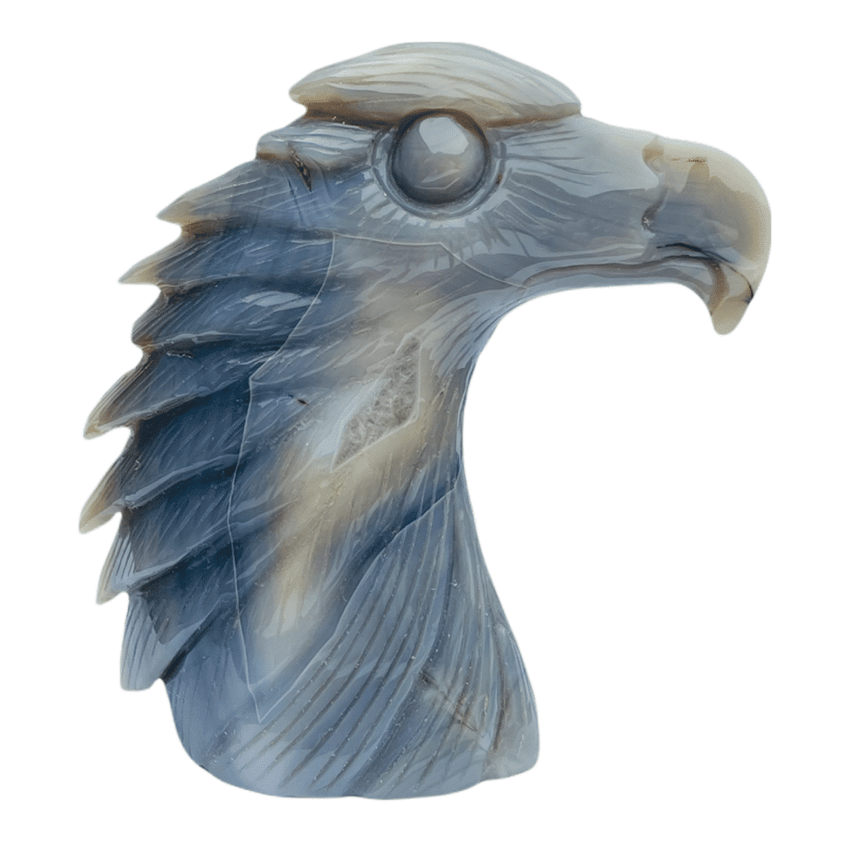 img_4251.png