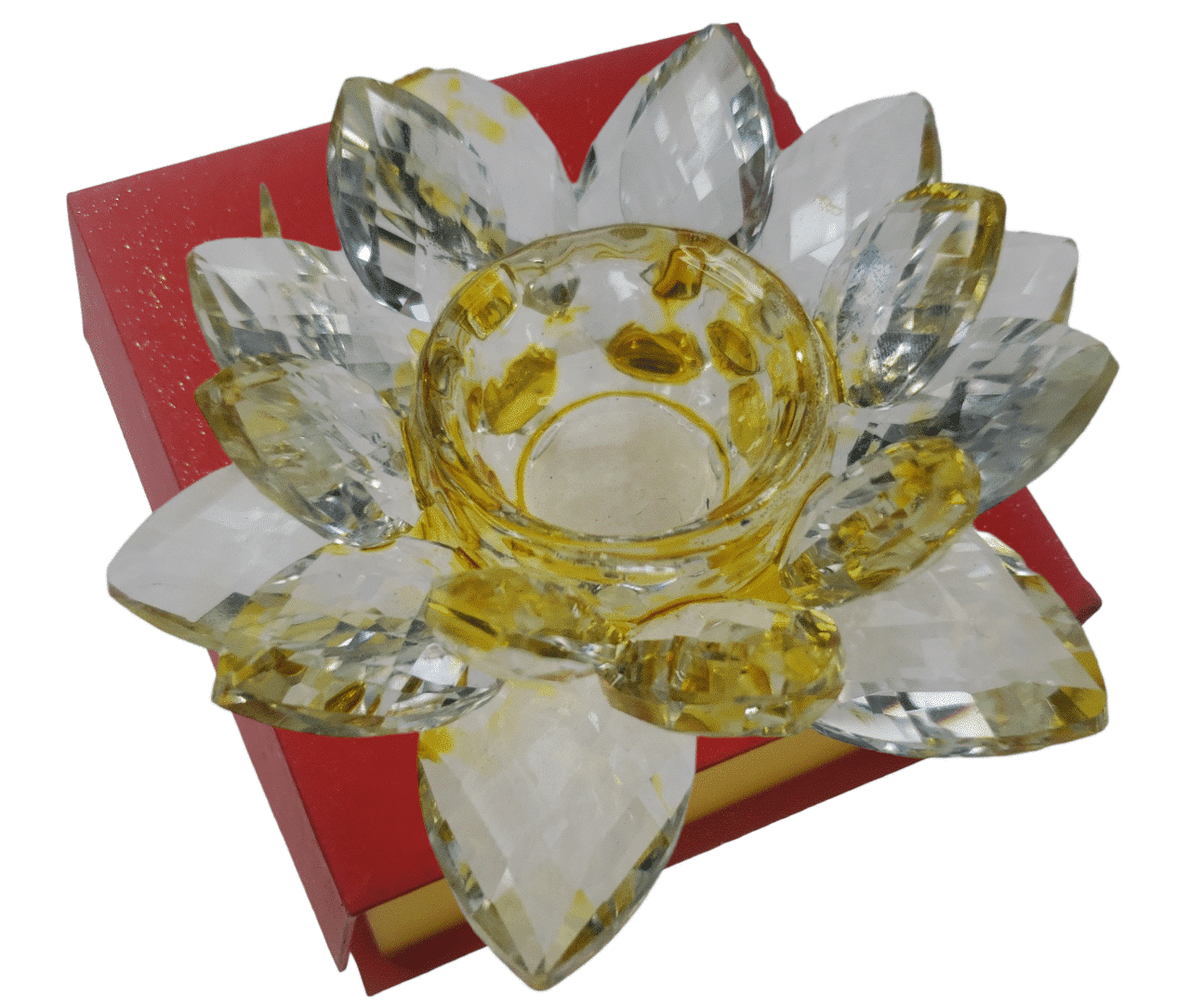 img_4715091373403251937-photoroom.png