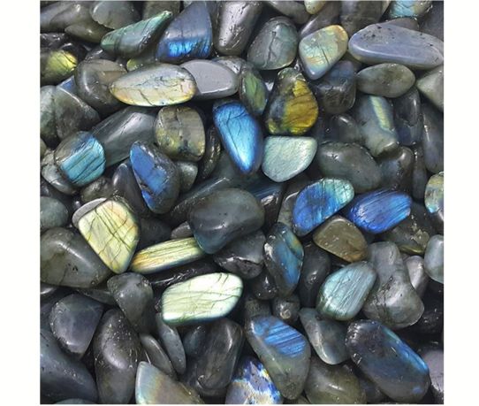 labradoritea_product.jpg