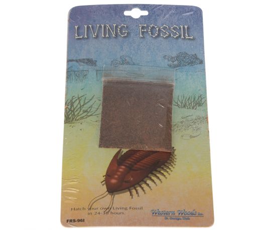 living-fossil-175x10cm_1.jpg
