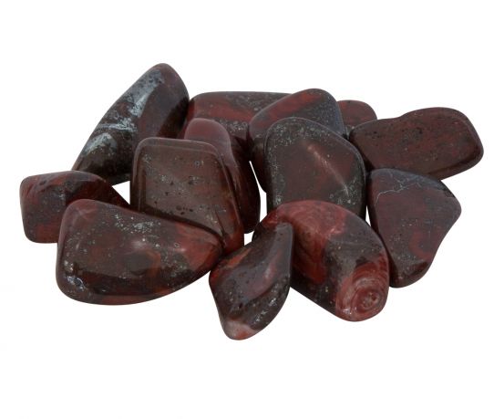 mary-ellen-stromatolite_2.jpg