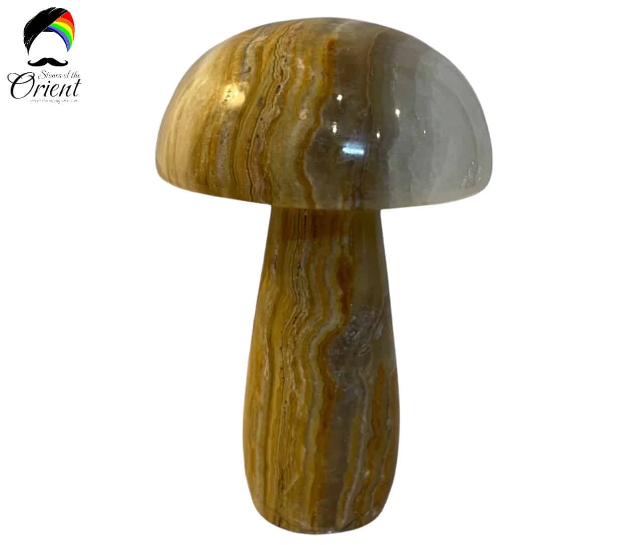 mushroom_logo.jpg
