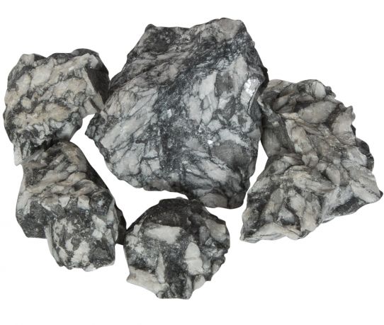 pinoliet-oostenrijk_2.jpg