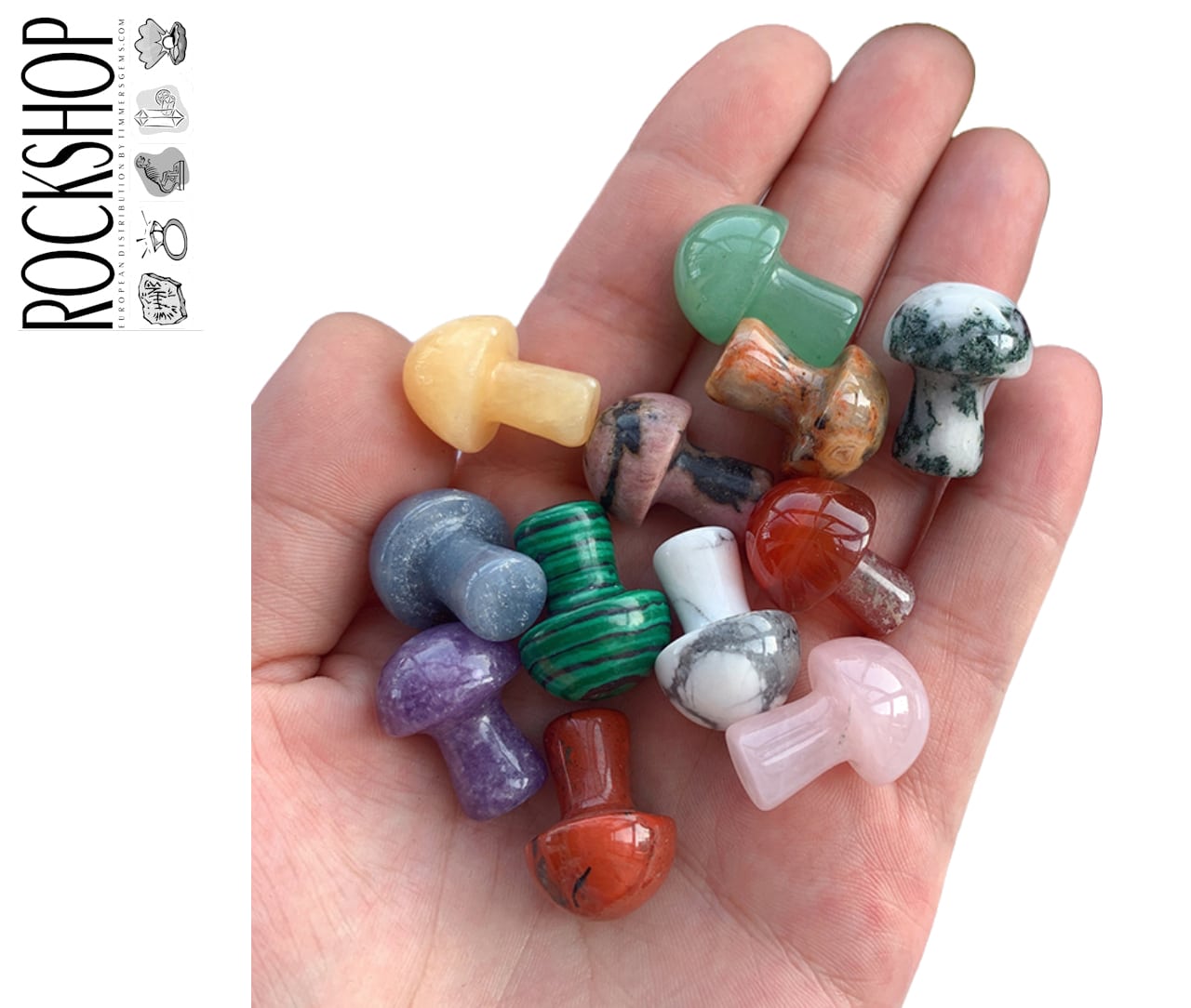 rockshop_mushrooms_jha1778.jpg
