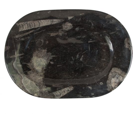 schaal-1-31-x-22-cm__product.jpg